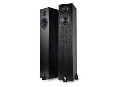 Totem Acoustics High Efficiency Ultra Slim Design Loudspeaker - Sky Tower (B) 