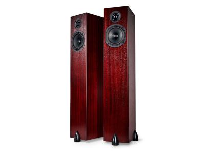 Totem Acoustics High Efficiency Ultra Slim Design Loudspeaker - Sky Tower (M) 