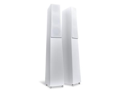 Totem Acoustic  -  Tribe Tower (W)