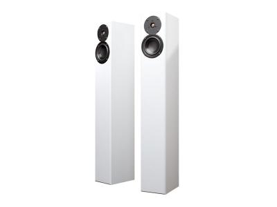Totem Acoustics Ultra-Slim Design Floorstanding Speaker - Arro (W)