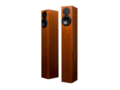 Totem Acoustics Ultra-Slim Design Floorstanding Speaker  - Arro (C)