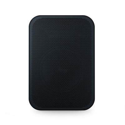 Bluesound Portable Wireless Multi-Room Music Streaming Speaker - PULSE FLEX 2i (B)