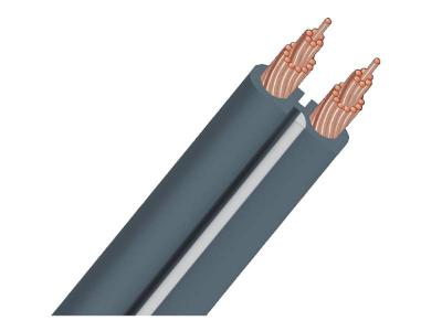 Audioquest 30 Ft. G2 Flat Series Speaker Cable - G-2G/30FT