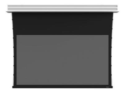 Screen Innovations Tab-Tensioned Motorized Screen - 5 motorized