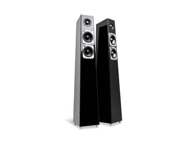 Totem Acoustics Tribe Tower Floor Standing Speaker - Tribe Tower (D)