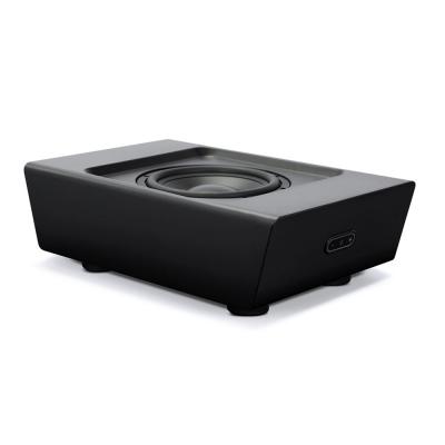 Bluesound Wireless Powered Subwoofer In Black Matte - PULSE SUB+ (B)