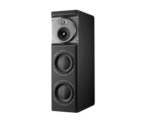 Floor Standing Speakers